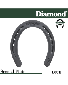 31-DS2B,Diamond Catalog number DS2B, Special Plain size 2